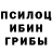 Псилоцибиновые грибы Cubensis WhiteVadi Les
