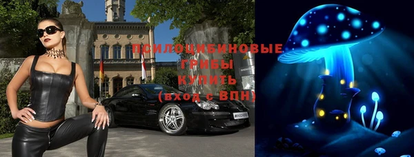 МДПВ Арсеньев